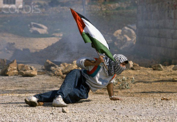 أحمد عابدين يكتب: هل نساعدهم على محو القضية الفلسطينية