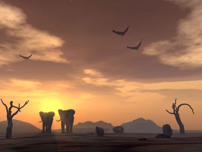 نعم الان تذكرت....