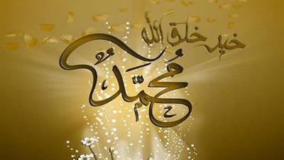 أحمد عابدين يكتب : مولد أشرف الخلق