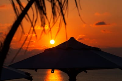 محمد سليمان يكتب : إني احتضر ..