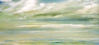 محمد سليمان يكتب : صرخة حر