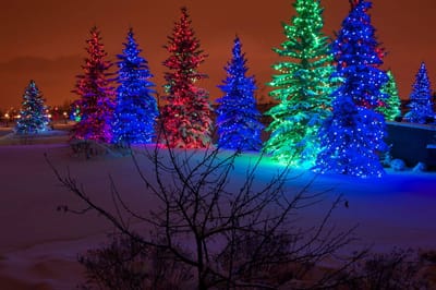 أحمد عابدين يكتب: رحلة هادئة إلى الشمال..