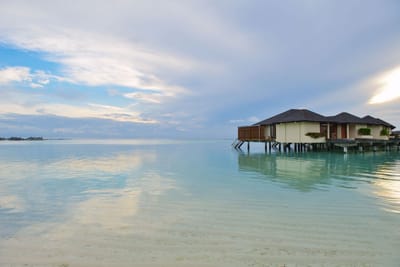 محمد سليمان يكتب :بضع كلمات في يوما ما