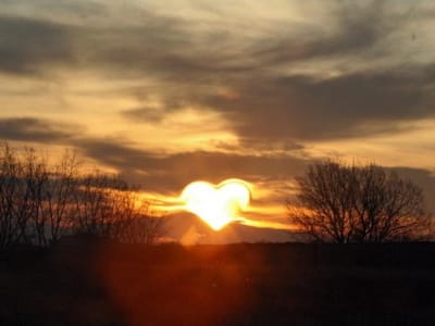 محمد سليمان يكتب : كل عام وانتي حبيبتي