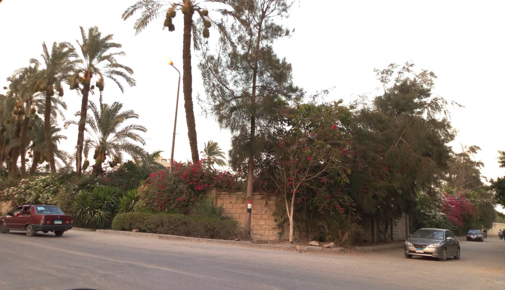 اراضي للبيع