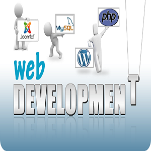Professional Website Design Is Essential To Gain the Attention of Potential Customers