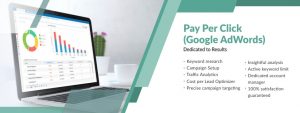 Choose best PPC Company in India to expand your business