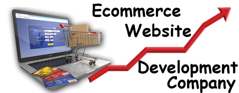 Accomplish your business goals through an ecommerce website