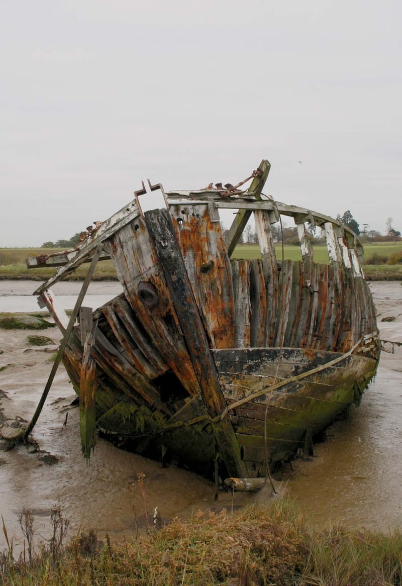 RESTORATION TECHNIQUES