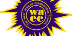 2025 WAEC RESULT image