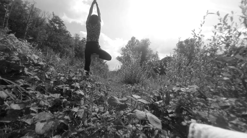 YOGA A CHAUMES EN BRIE ET VAUX LE PENIL