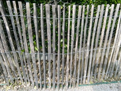 Verwitterung und Ausbleichung