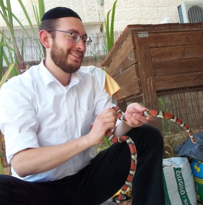 כתבה בהידברות