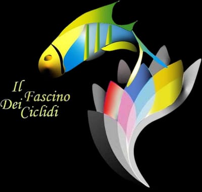 Il fascino dei Ciclidi