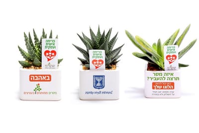 מתנות לטו בשבט, מסר של פריחה אישית ועסקית יבטיח פריחה בעסק שלך עם מתנות לכנסים ואירועים