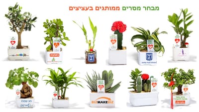 מתנות לסוף השנה, עציצים ממותגים מזכרת נפלאה, מתנות למורים ותלמידים. עם מתנות לכנסים ואירועים עסקיים