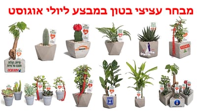 מתנות לראש השנה, עציצי בטון במבצע, מתנות לעובדים והלקוחות  עם מתנות לכנסים ואירועים