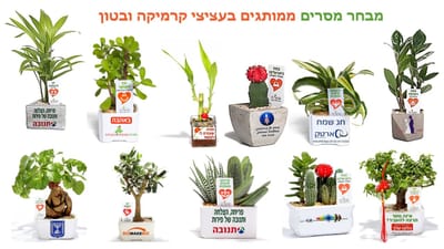 מתנות לחג הפסח, עציצים ממותגים מתנות לעובדים וללקוחות  עם מתנות לכנסים ואירועים