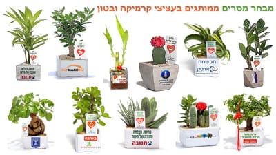 מתנות לפסח, עציצים ממותגים יחזקו את הקשר עם צוות העובדים והלקוחות עם מתנות לכנסים ואירועים
