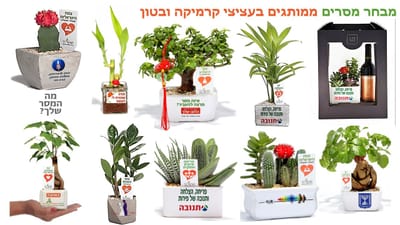מתנות לראש השנה, עציצים ממותגים, מתנות לעובדים והלקוחות לחיזוק הקשרים לאור המצב.  עם מתנות לכנסים ואירועים