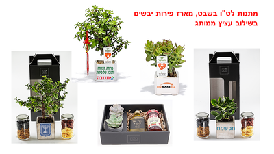 מתנה לטו בשבט, אין כמו עציצים ממותגים, מארזי שי, מתנות לעובדים וללקוחות.