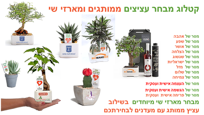 מתנות לחג הפסח, עציצים ממותגים ומארזי שי מתנות לעובדים וללקוחות