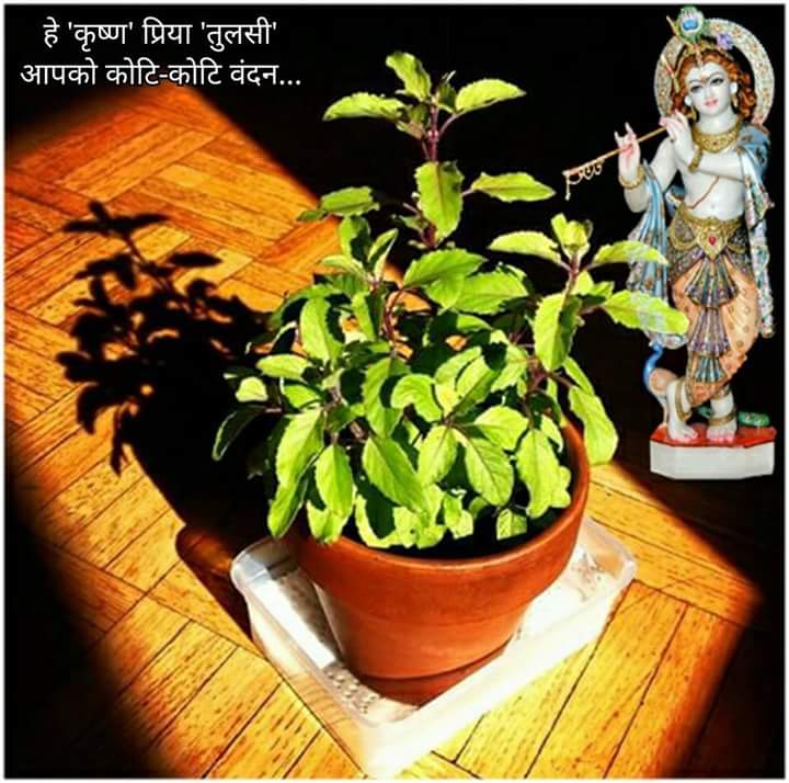 tulsi katha in hindi by ankur ji