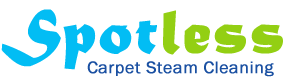 Spotless Carpet Steam Cleaning