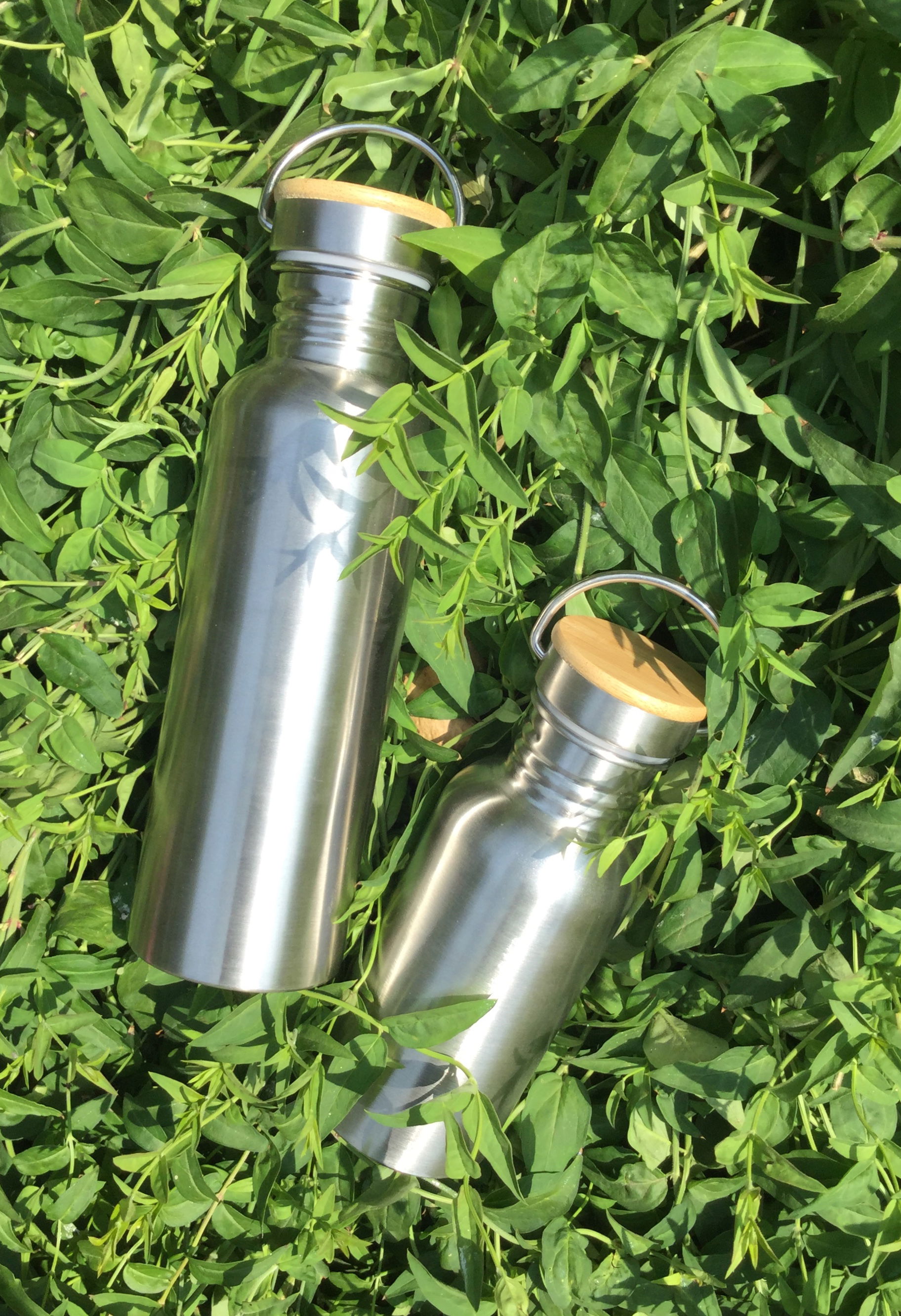 Stainless Steel Water Bottles