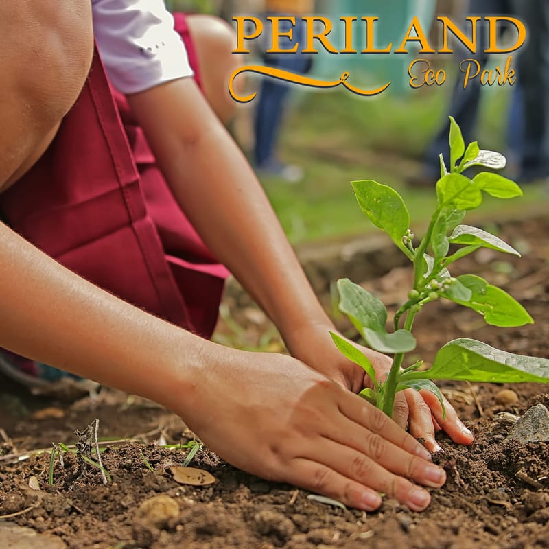 Día Internacional de la Conservación del Suelo