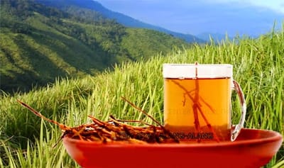 Daftar obat gatal kudis paling ampuh