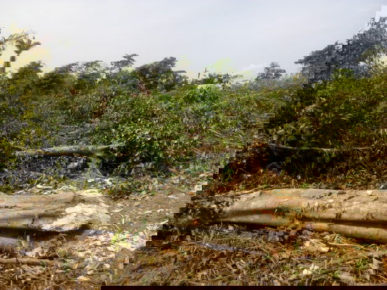 Land Property for sale in Ikorodu