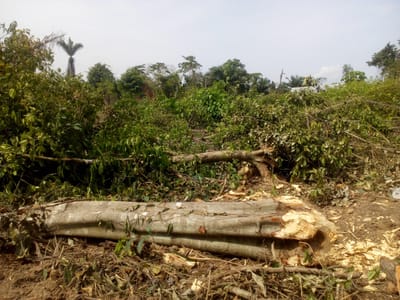 Land Property for sale in Ikorodu