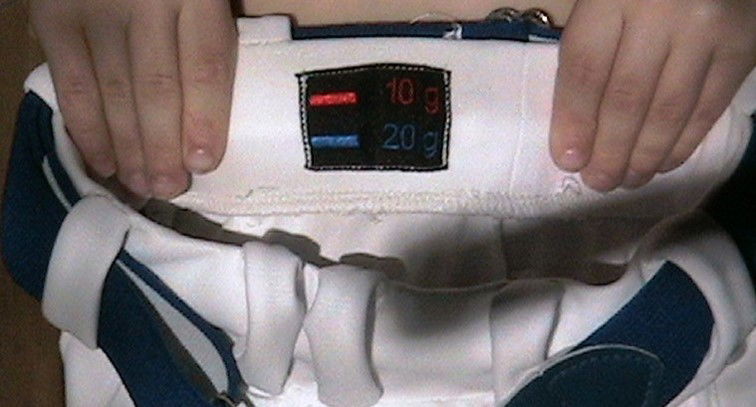 THE RION'S BELT BAND: