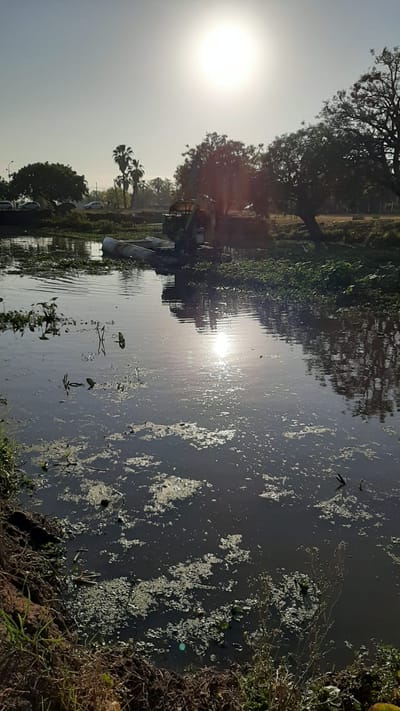 Mes de noviembre de 2020