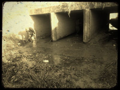 TAREAS REALIZADAS DURANTE EL AÑO 2020