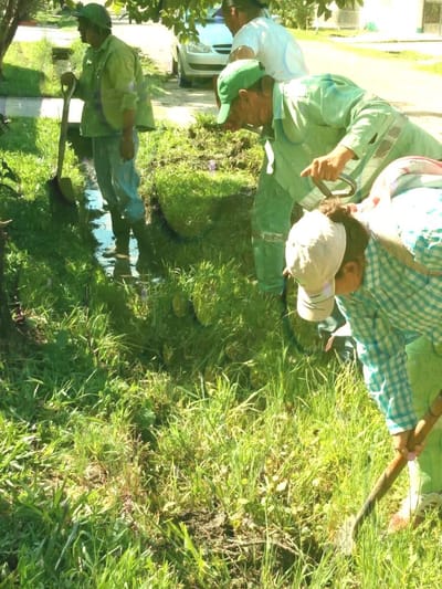 Tareas realizadas durante el año 2019