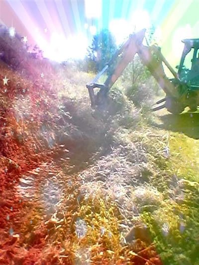 Mes de junio de 2020