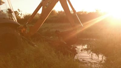 Mes de julio de 2019