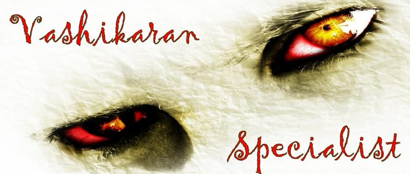 Best Astrologer in pune