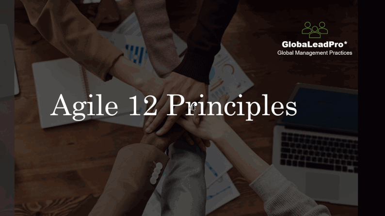 12 Agile Principles  - Implement what is right for you