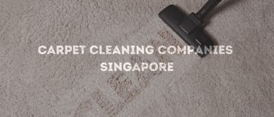 Revitalize Your Space with Professional Carpet Cleaning in Singapore