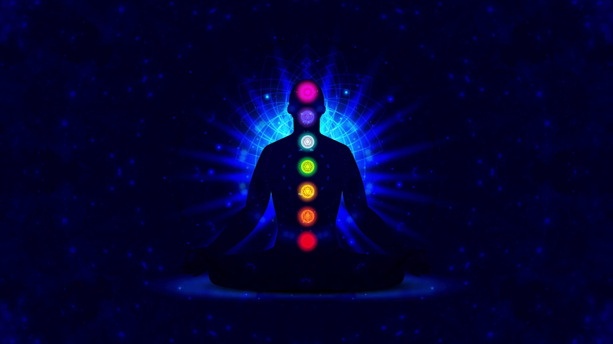 Informazioni video thumbnail