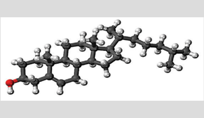 Cholesterol: A Nutrient Of Concern | Abdullah Al Moinee