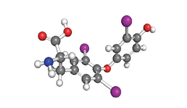 Hormone: A Chemical Communicator | Abdullah Al Moinee