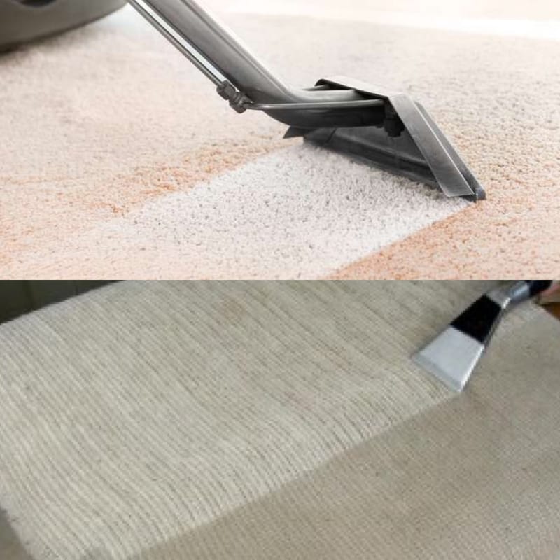 In home services (Carpet and upholstery cleaning)