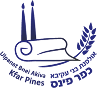אולפנת כפר פינס - מדרגות חרום וגשרונים אולפנת כפר פינס - מדרגות חרום וגשרונים