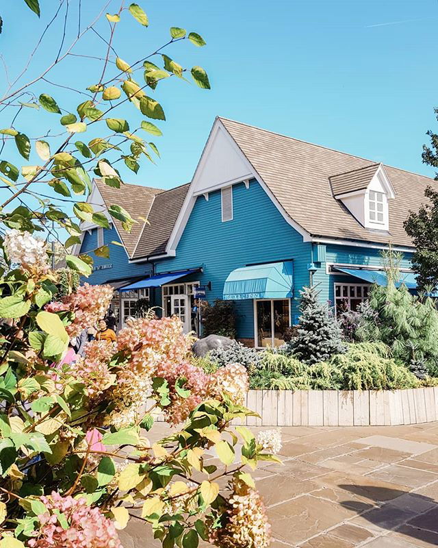 Day trip to Bicester Village