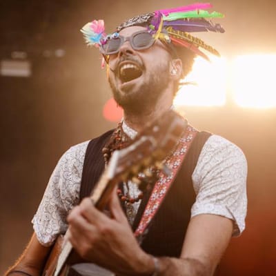 El Gato Negro Tropical