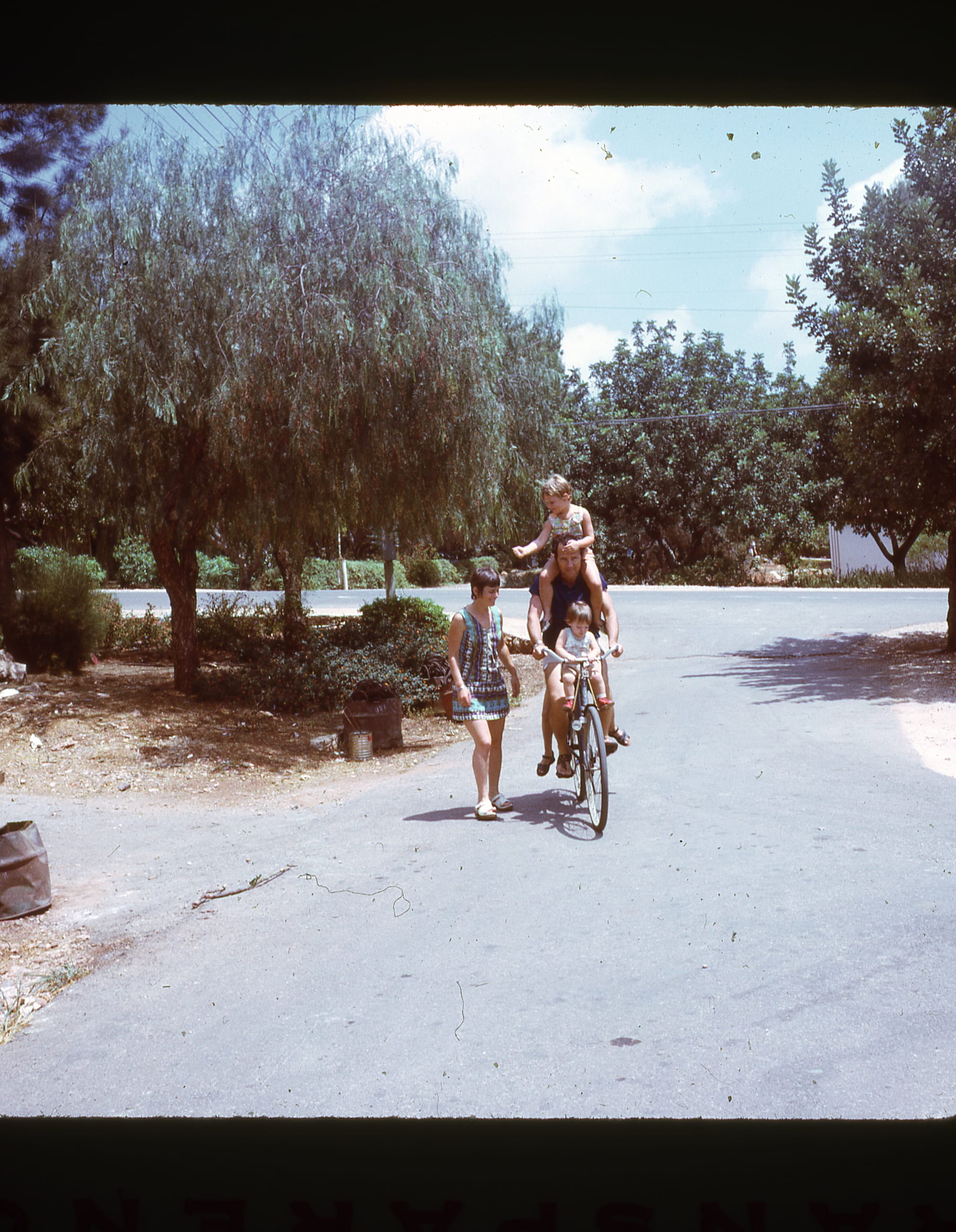 באילון